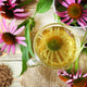 Echinacea Herb Powder